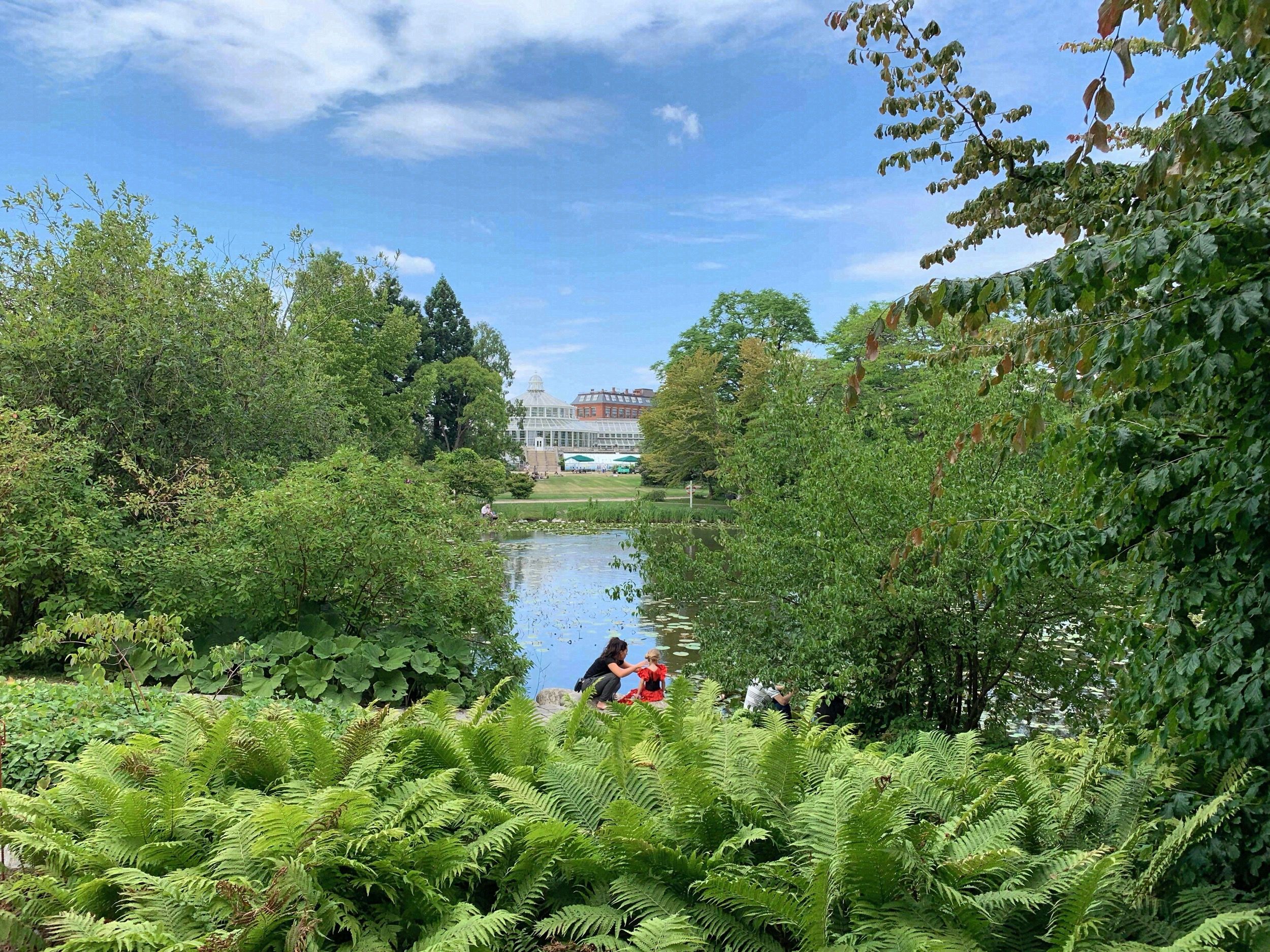 Blick ueber den Teich im Botanischen Garten Kopenhagens mit uppigem Farnbewuchs und Besuchern am Ufer an einem sonnigen Sommertag.