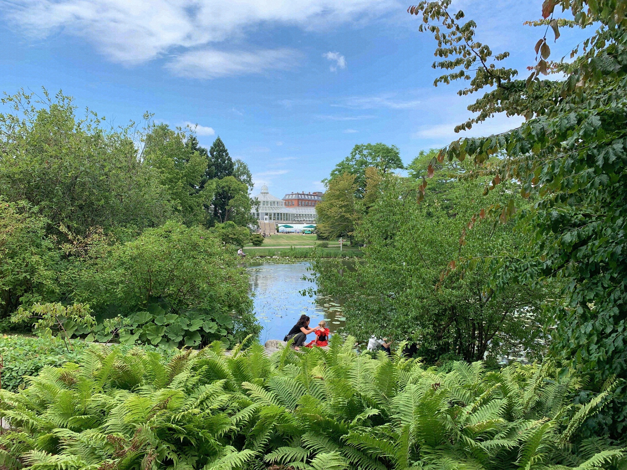 View across the pond in Copenhagen's Botanical Garden with lush ferns and visitors on the bank on a sunny summer day.